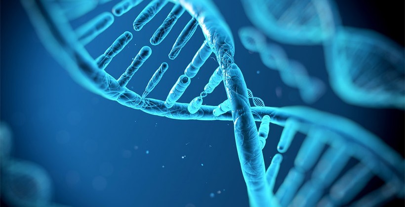 What Is Genetic Testing?